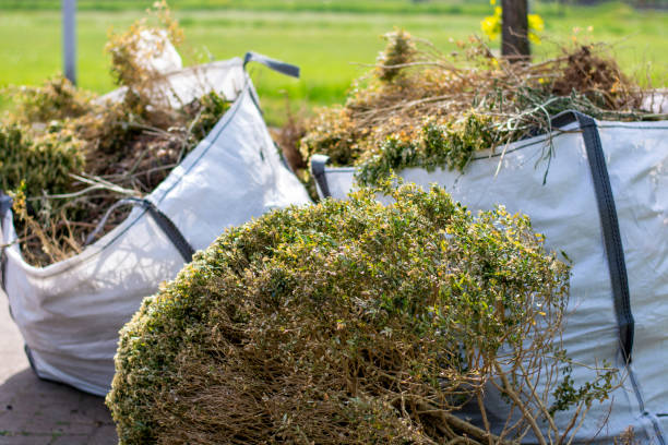 Best Basement Cleanout Services  in Greenfield, MO